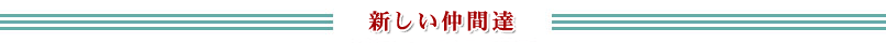 �p�Z�� ���]�[�c�y�����E�f�[�g�E�p�[�e�B�[�z�V�������ԒB