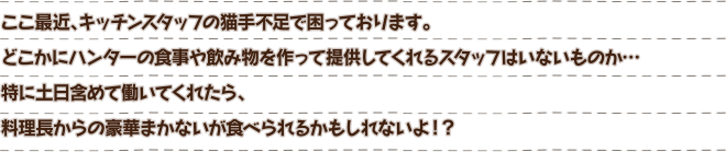 ここ最近、キッチンスタッフの猫手不足で困っております。どこかにハンターの食事や飲み物を作って提供してくれるスタッフはいないものか…特に土日含めて働いてくれたら、料理長からの豪華まかないが食べられるかもしれないよ !?